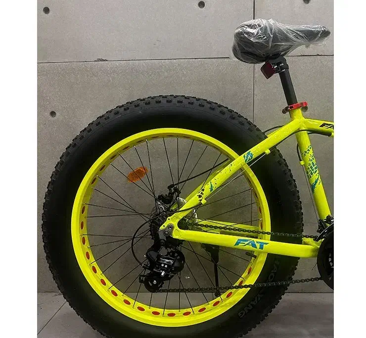 دوچرخه|دوچرخه، اسکیت، اسکوتر|سلماس, |دیوار