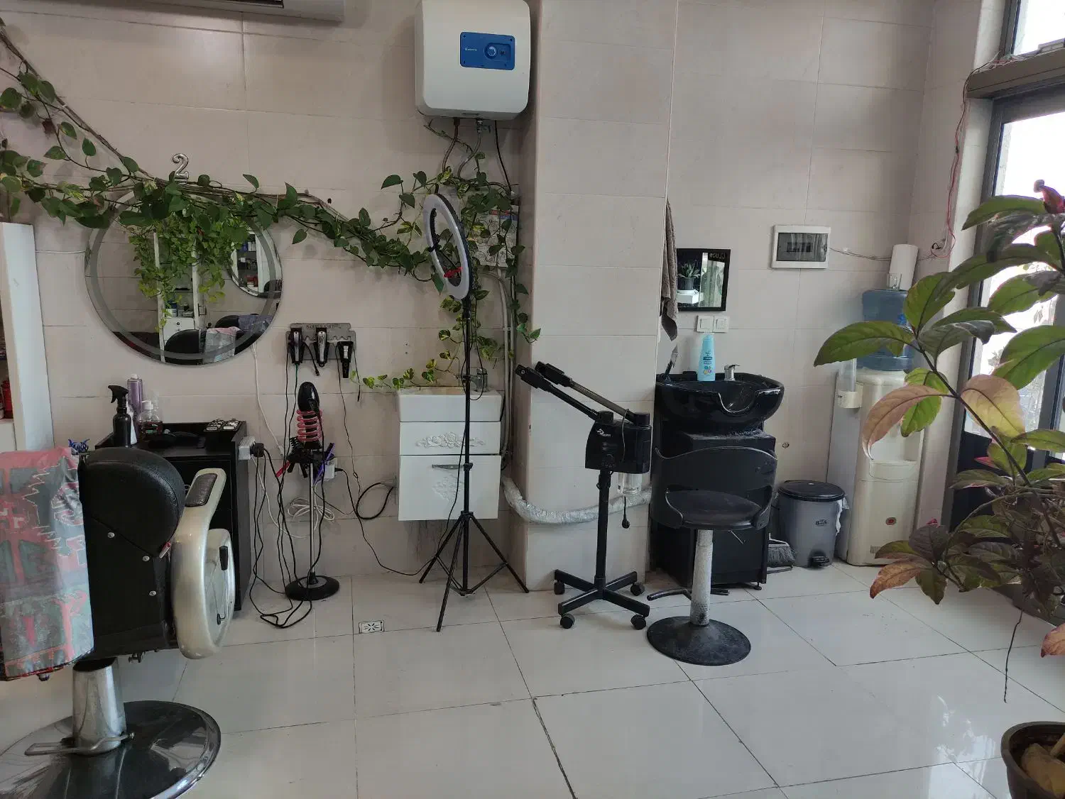 پیرایش جزیره واگذار میگردد|آرایشگاه و سالن‌های زیبایی|کیش, |دیوار