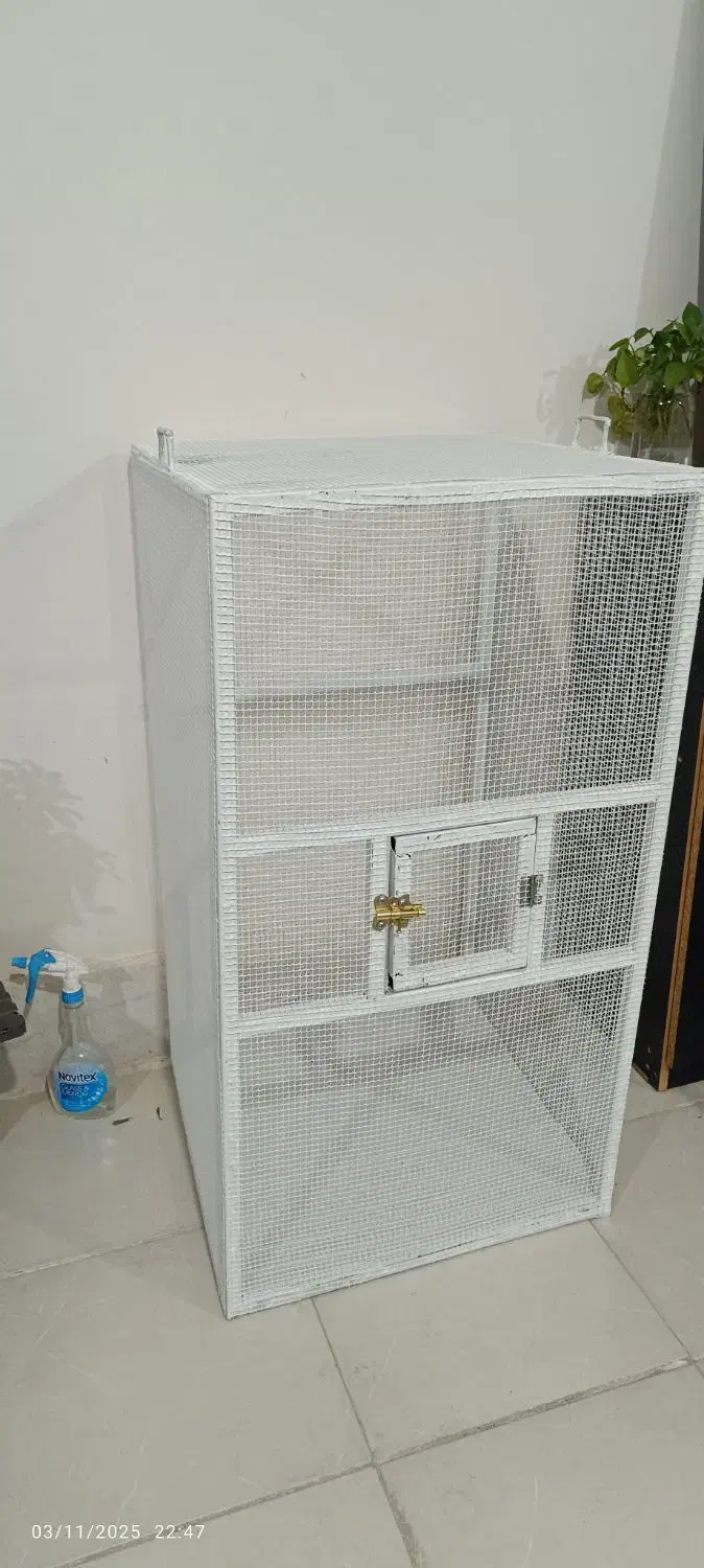 قفس پرنده|لوازم جانبی حیوانات|لنجان, |دیوار