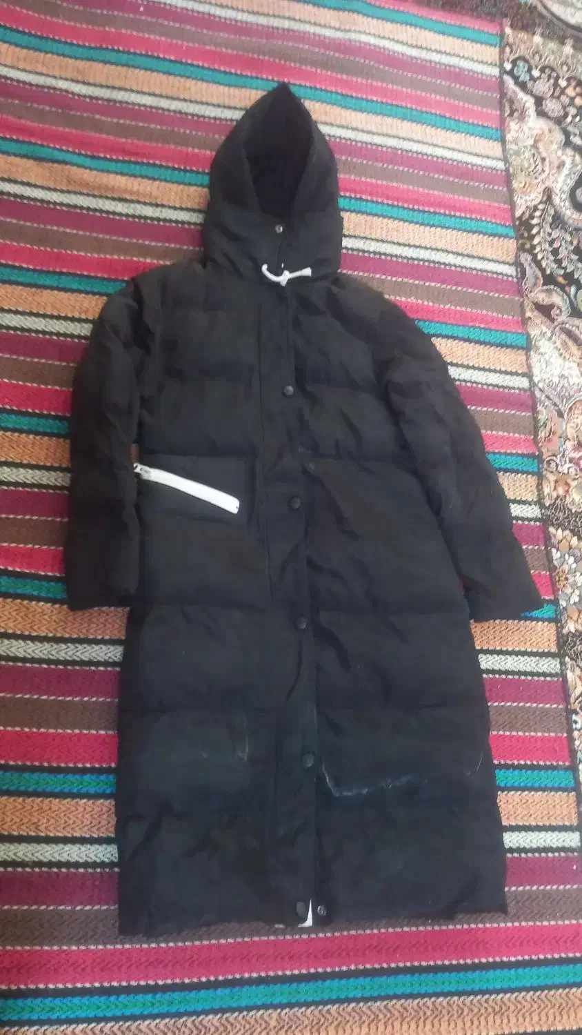 کاپشن بادی دخترانه|لباس|مراغه, |دیوار