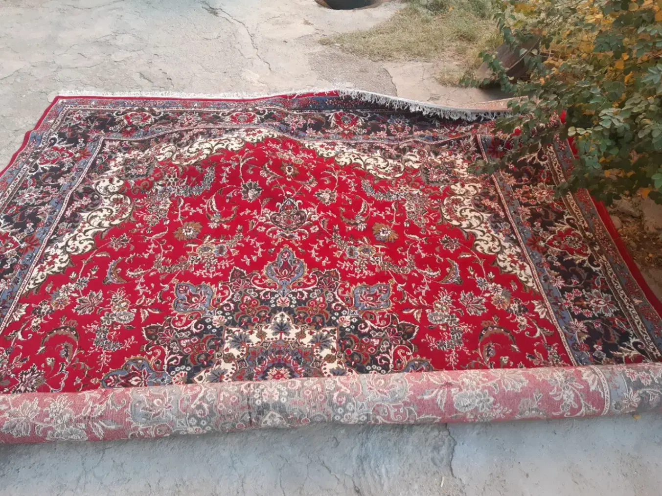 3 عدد فرش ۱۲ متری ماشینی|فرش|لالجین, |دیوار