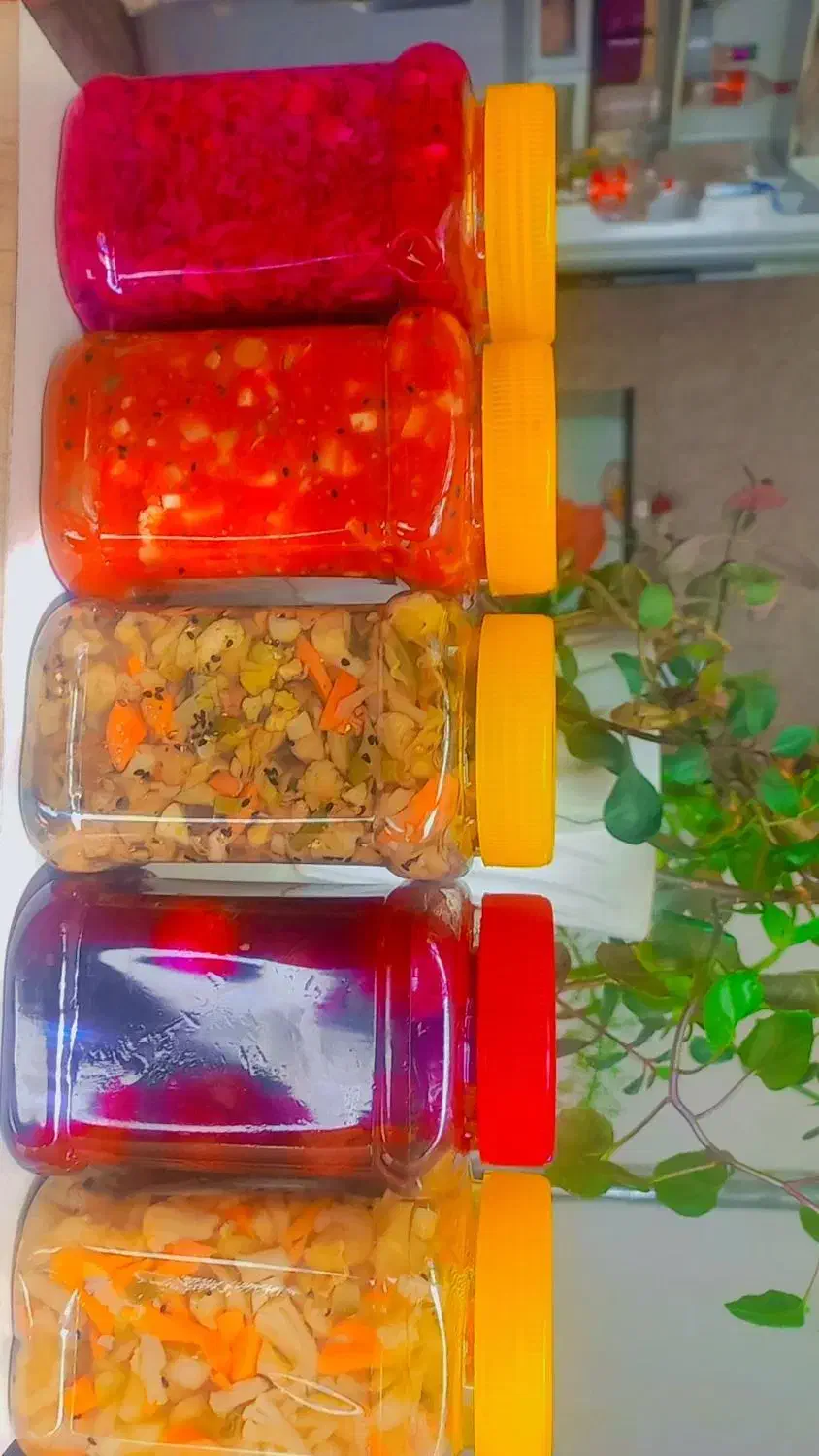 ترشی خانگی|خوردنی و آشامیدنی|بردسیر, |دیوار