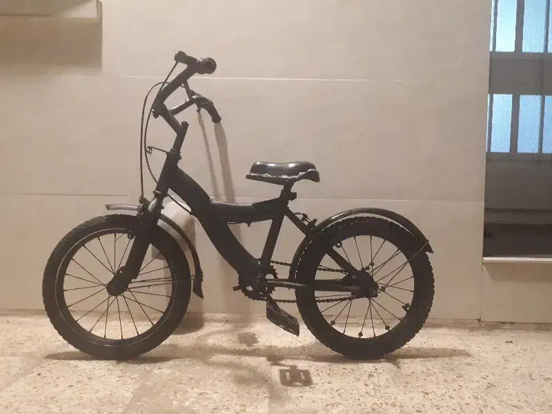 دوچرخه ۱۶|دوچرخه، اسکیت، اسکوتر|شوشتر, |دیوار