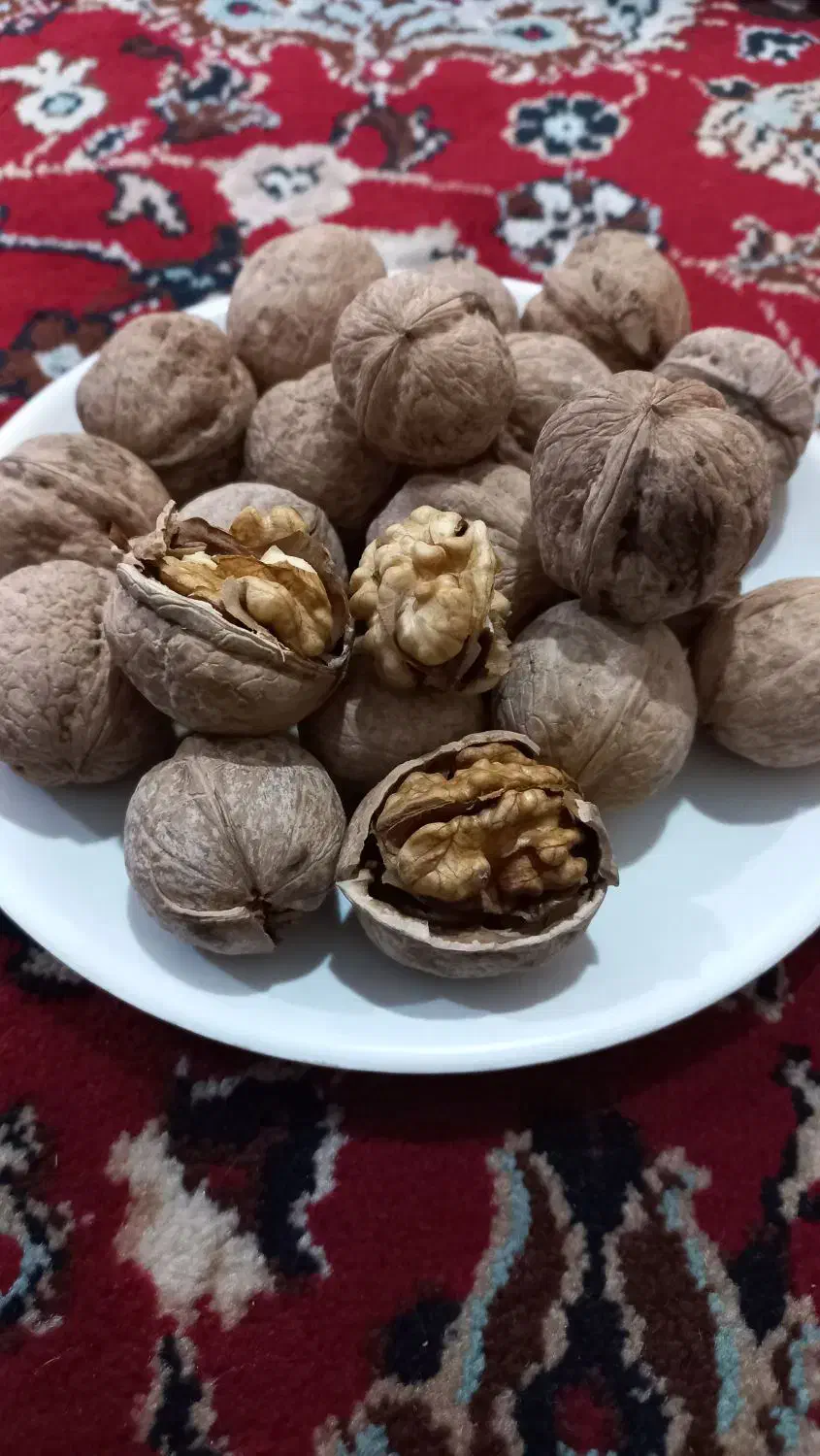 گردو، برگه زردآلو، سنجد|خوردنی و آشامیدنی|اسکو, |دیوار