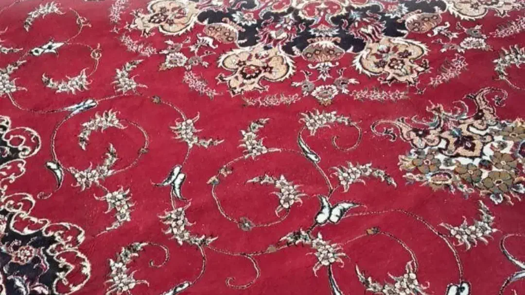 فروش    قالی طرح سلیمان       ۱۲متری زمینه لاکی|فرش|اصفهان, خانه اصفهان|دیوار
