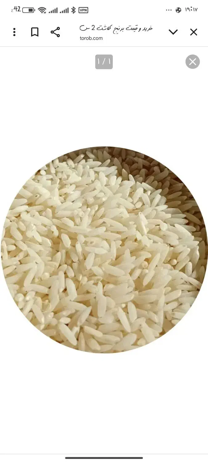 برنج چمپا لری|خوردنی و آشامیدنی|فلارد, |دیوار