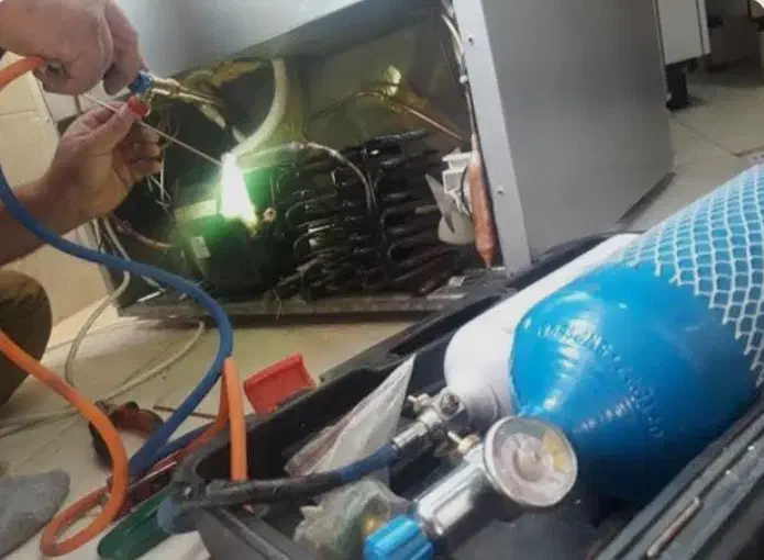 تعمیر و گاز گیر انواع یخچال فریزر( سیار)|خدمات پیشه و مهارت|آبادان, |دیوار