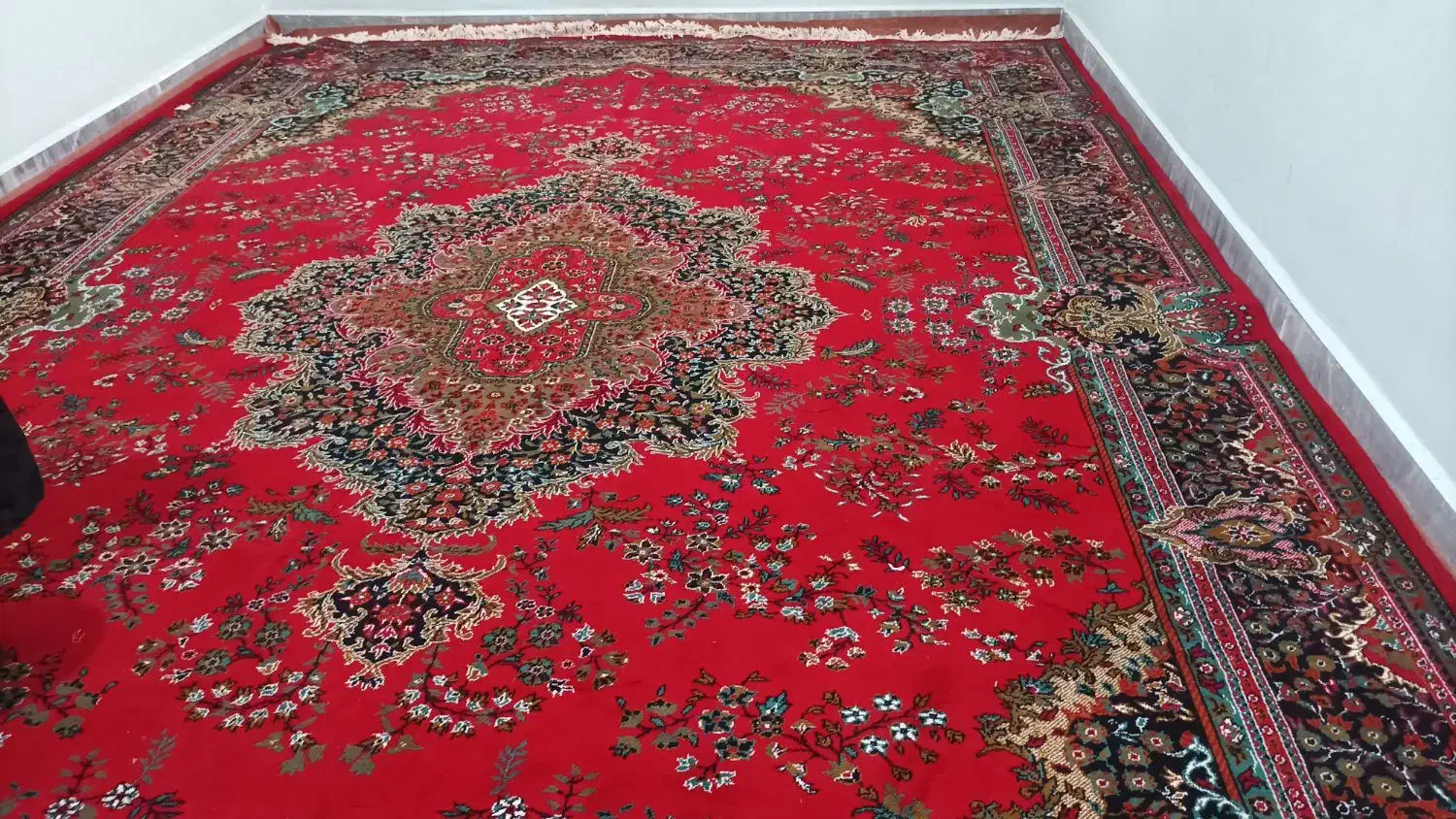 فرش فروش|فرش|آبدانان, |دیوار