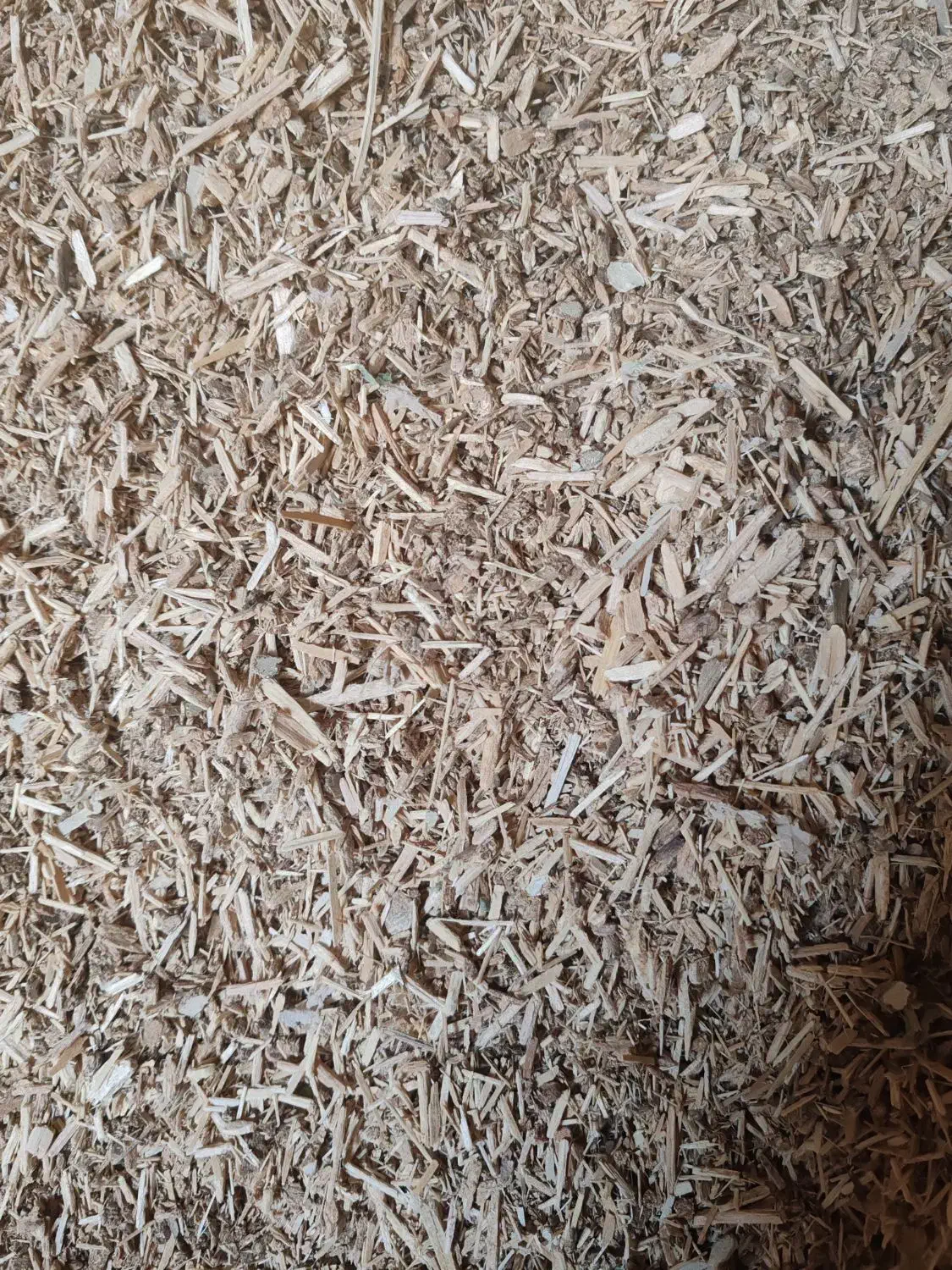 ضایعات چوب فروشی اسیاب شده خشک جهت تولیدنئوپانmdf|عمدهفروشی|نجفآباد, شهدا|دیوار