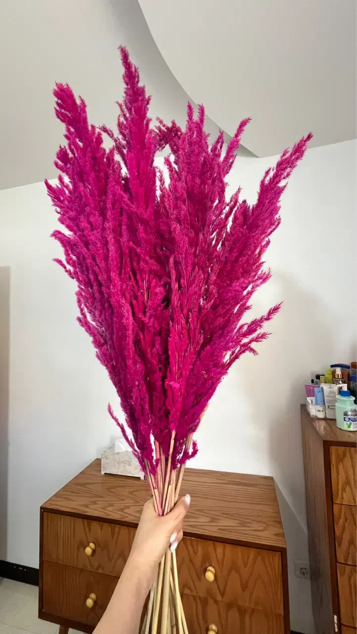 گل پامپاس|گل مصنوعی|اراک, |دیوار