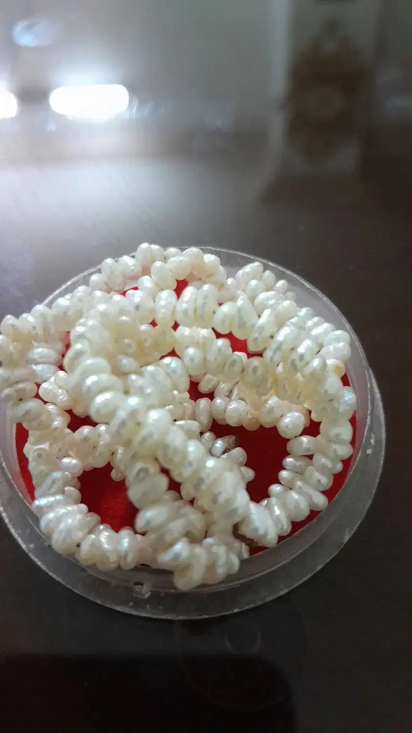 مروارید اصل پرورشی|جواهرات|زنجان, |دیوار