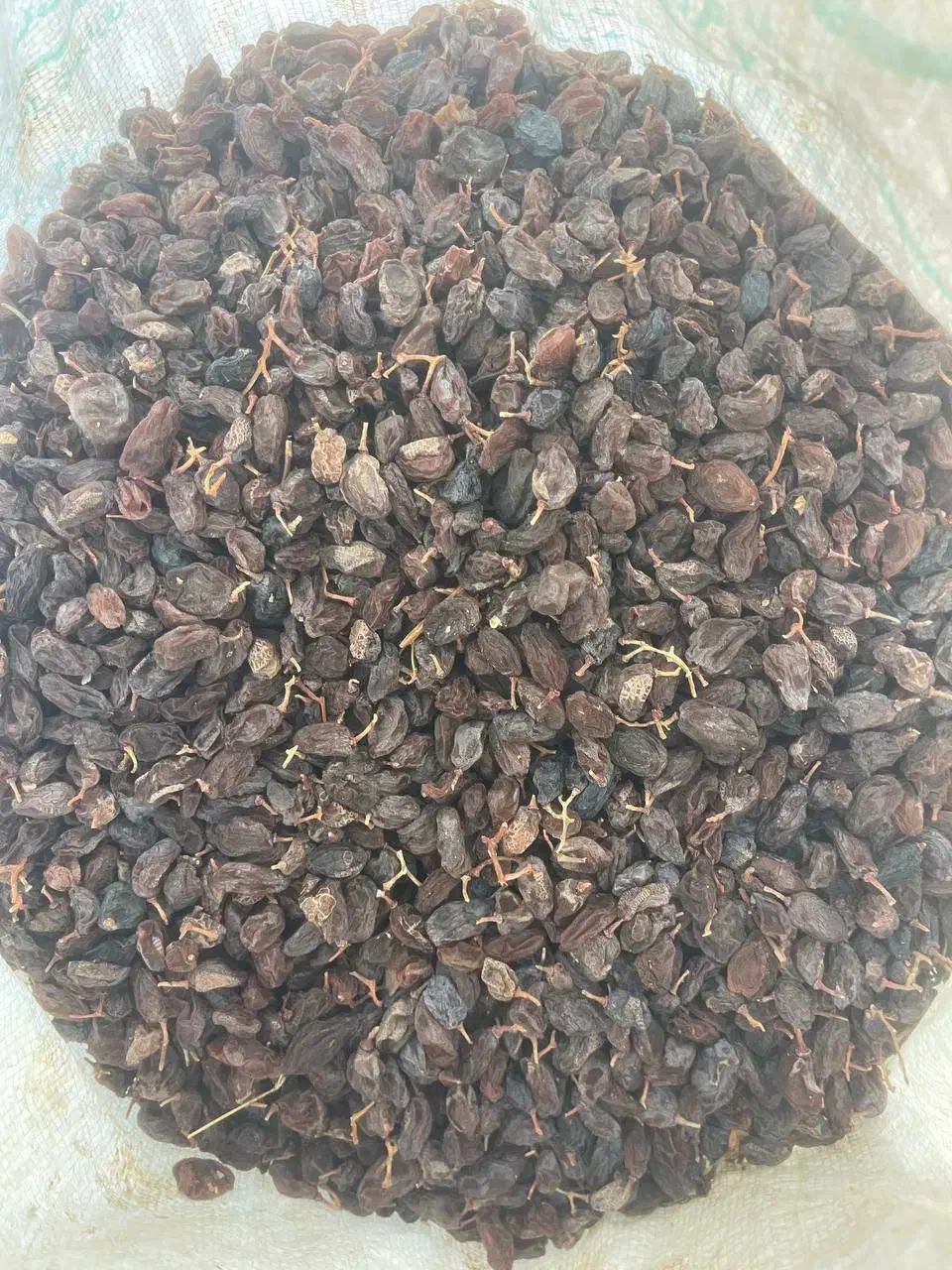 مویز|خوردنی و آشامیدنی|شیراز, شهرک امیر کبیر|دیوار