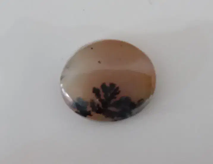 شجر(رنگی)|جواهرات|زنجان, |دیوار