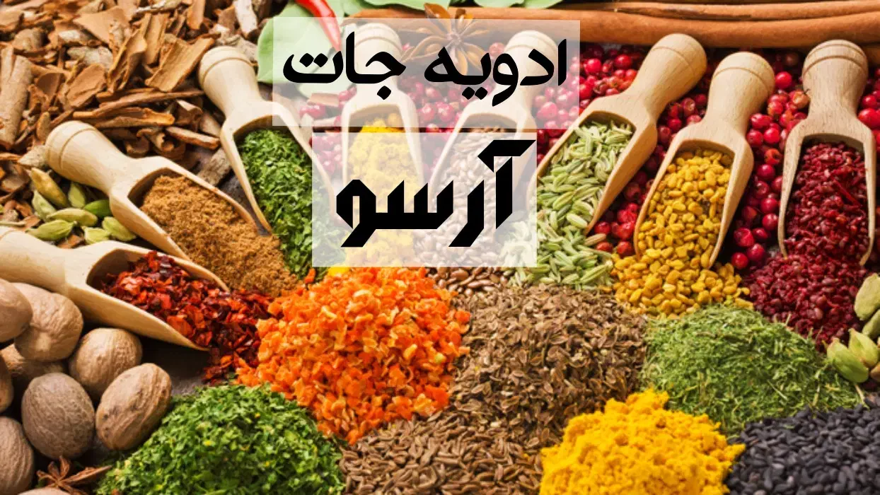 فروش انواع ادویه جات|خوردنی و آشامیدنی|لاهیجان, انقلاب|دیوار
