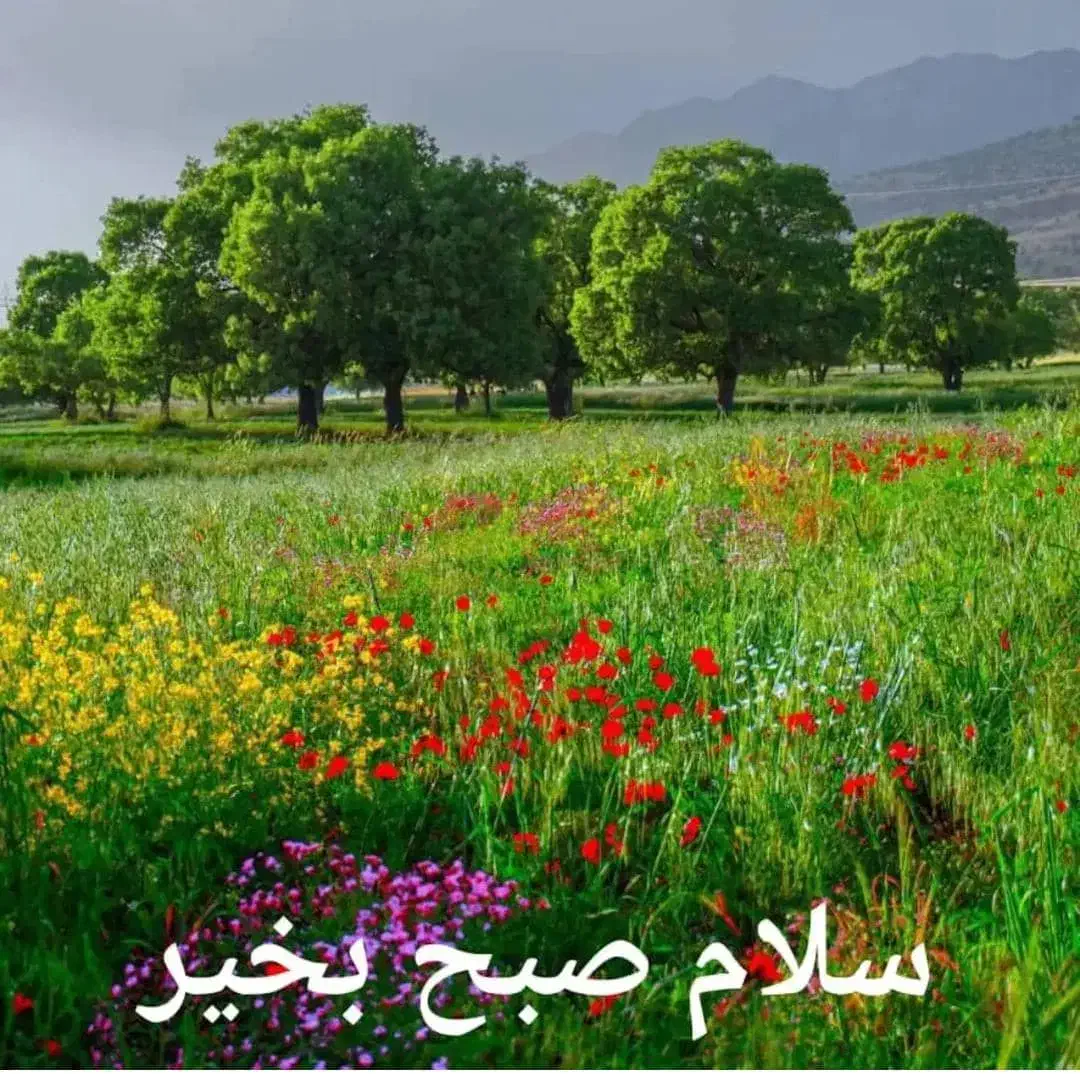 فروش زمین زراعی دیم در اقلید فارس|فروش دفتر صنعتی، کشاورزی، تجاری|اقلید, |دیوار