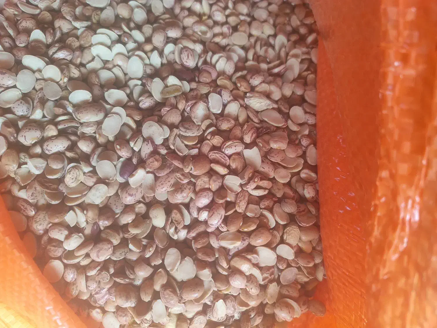 باسلام.کپسول ال پی جی|قطعات یدکی و لوازم جانبی|اهواز, حصیرآباد|دیوار