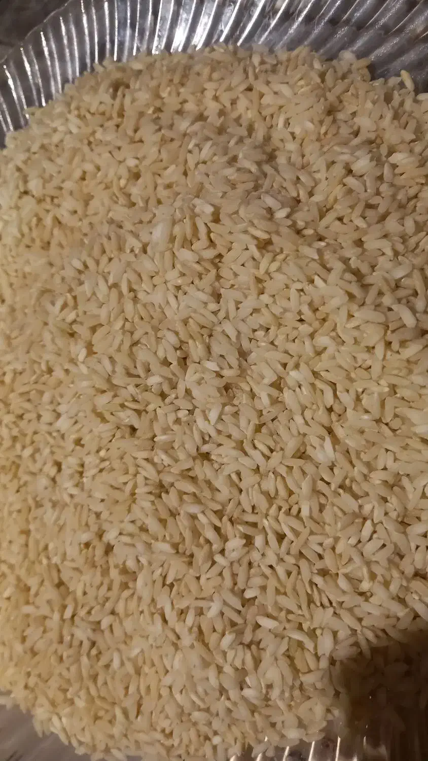 ۱۰۰ کیلو بومی بفروش میرسده|خوردنی و آشامیدنی|اصفهان, باغ زرشک|دیوار