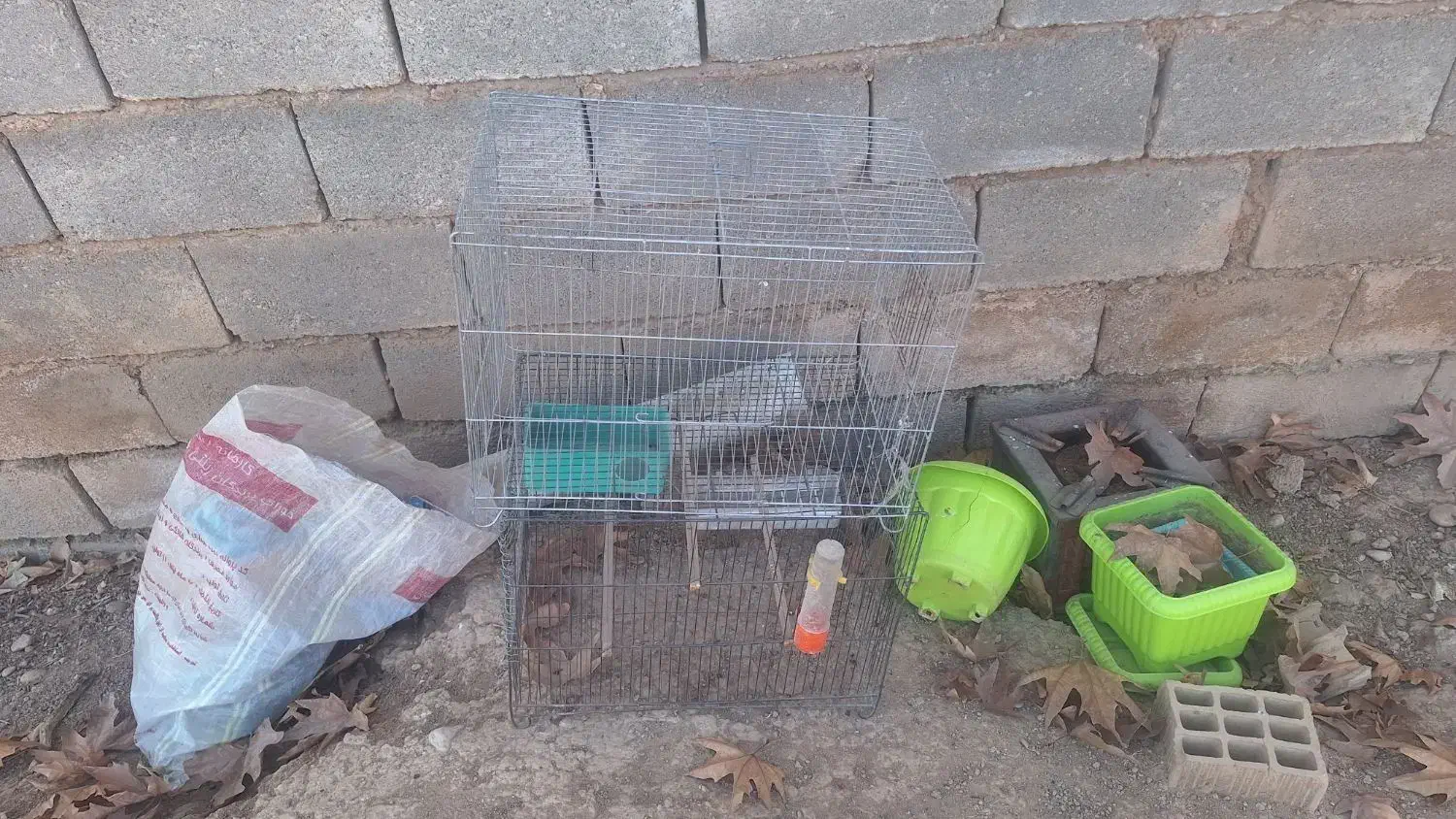 قفس پرنده|لوازم جانبی حیوانات|شیراز, قلات|دیوار