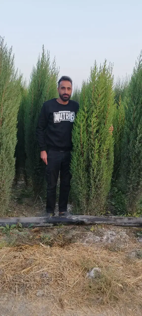 نهالستان رحمان نوری|خدمات باغبانی و درختکاری|خفر, |دیوار