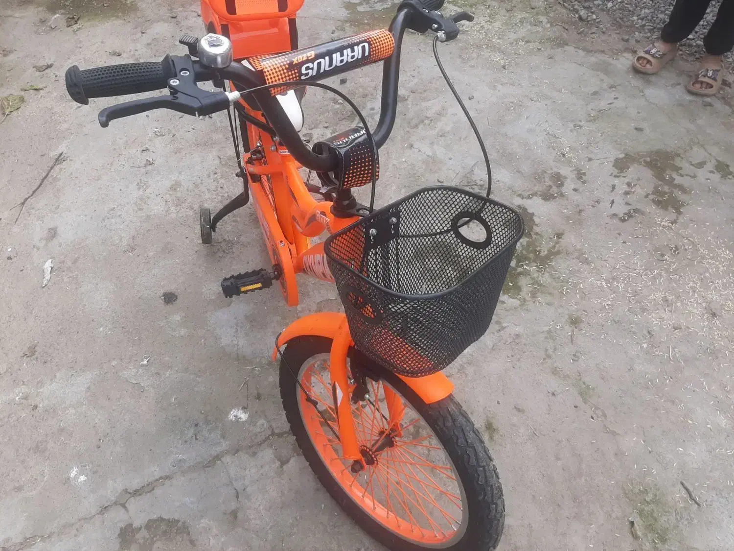 دوچرخه نو|دوچرخه، اسکیت، اسکوتر|مزرعه کتول, |دیوار