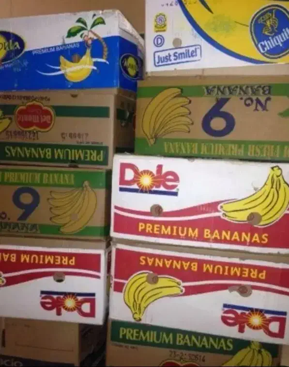 جعبه موز|ظروف نگهدارنده، پلاستیکی، یک‌بارمصرف|مشهد, امیریه|دیوار