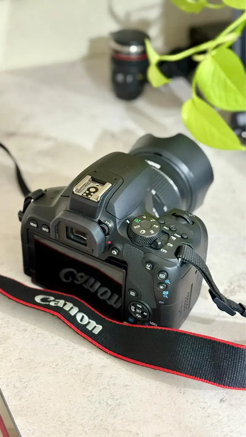 دوربین عکاسی|دوربین عکاسی و فیلمبرداری|بوشهر, |دیوار