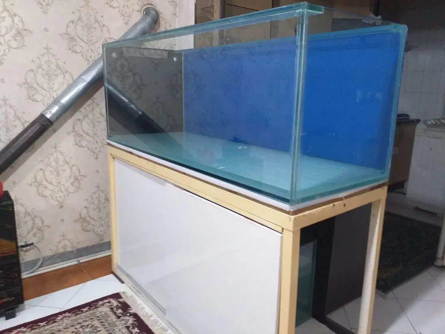 اکواریوم ۱۵ میل ابعاد ۱۷۰*۶۰*۶۰|ماهی|تهران, هفده شهریور|دیوار