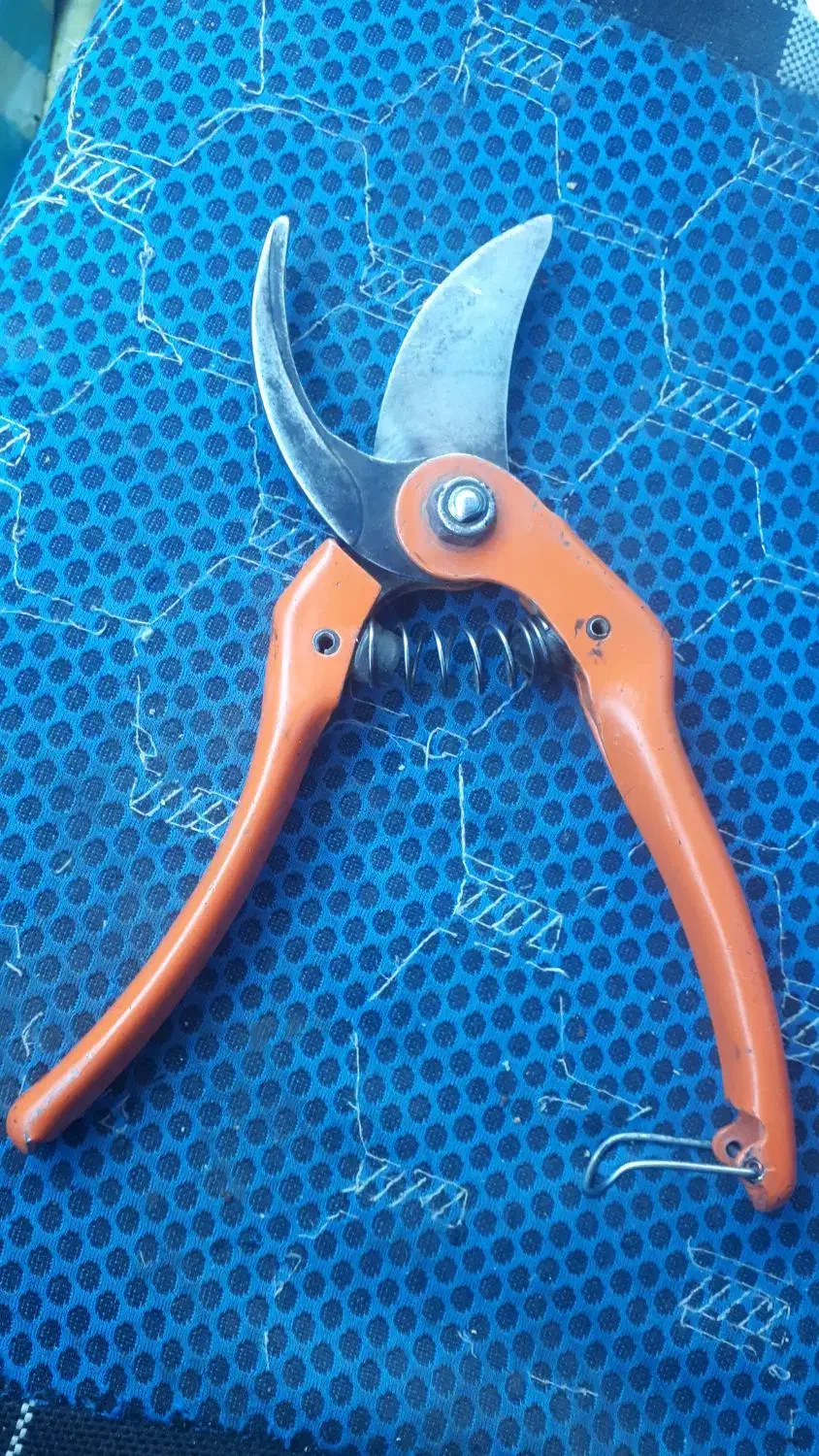 قیچی باغبانی|ابزارآلات|میاندوآب, |دیوار