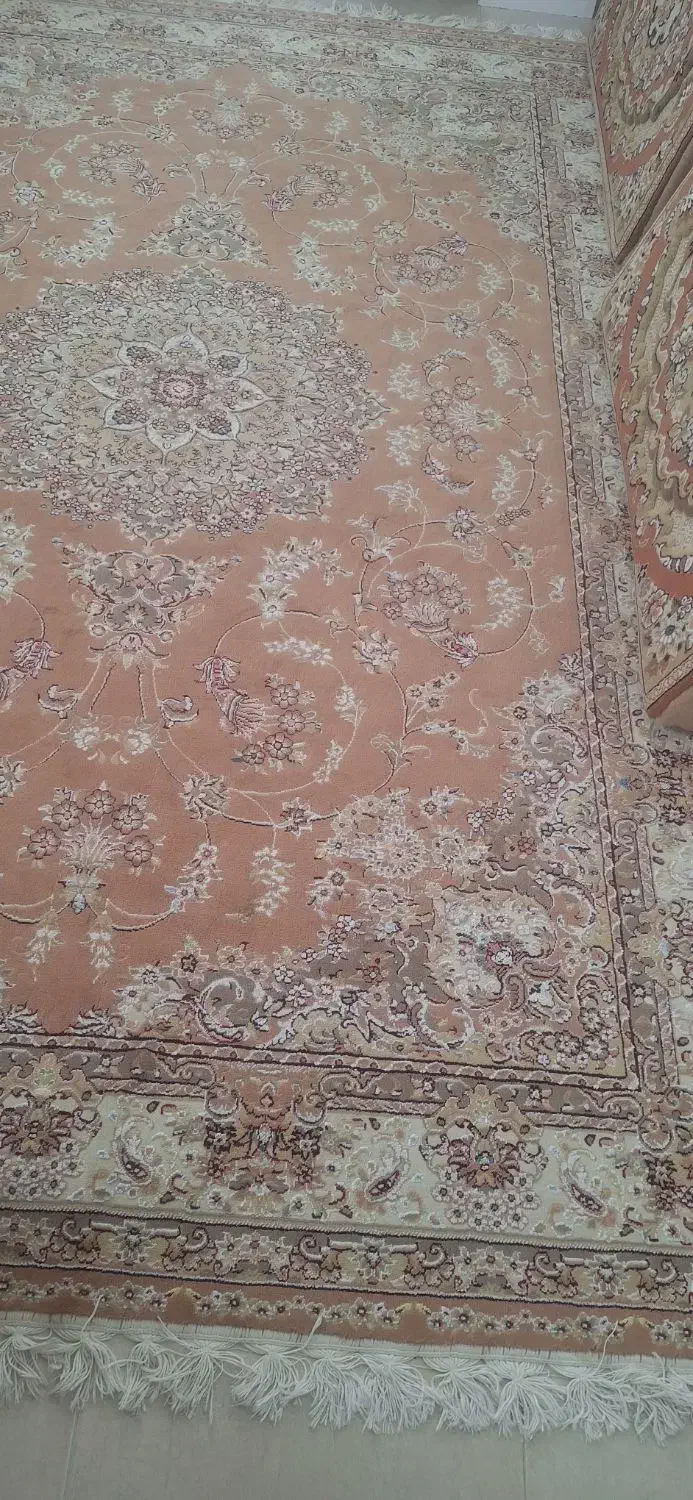 فرش ۶متری|فرش|سقز, |دیوار