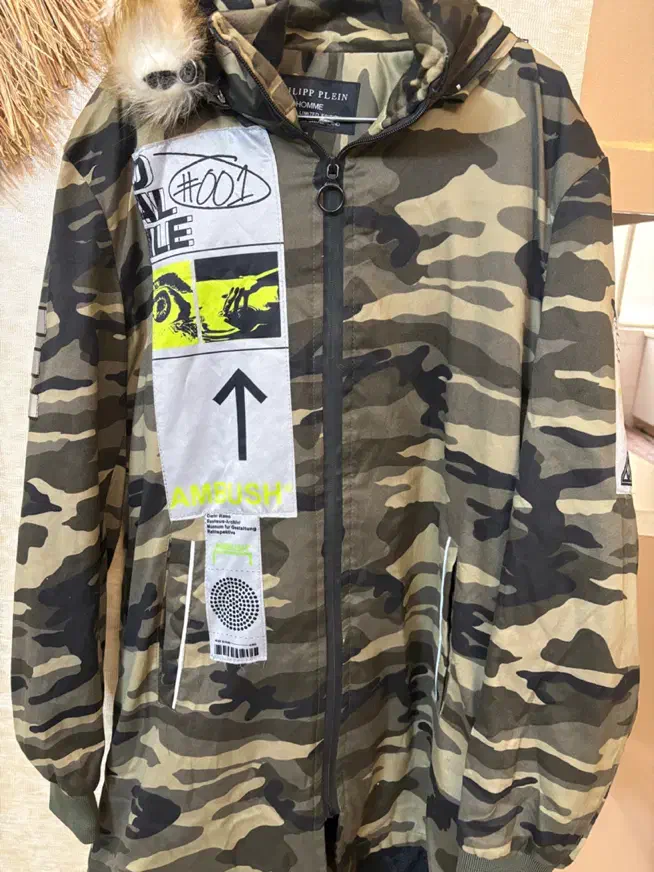 کوهنوردی و کمپینک|کوهنوردی و کمپینگ|گلستان (تهران), |دیوار