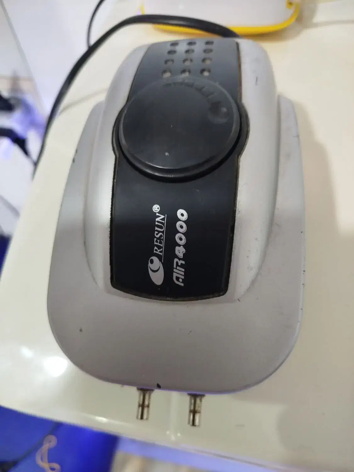 پمپ اکواریوم|ماهی|شیراز, کوشک میدان|دیوار