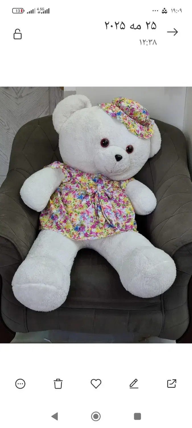 خرس|اسباب‌‌بازی|شاهین‌شهر, عطار|دیوار