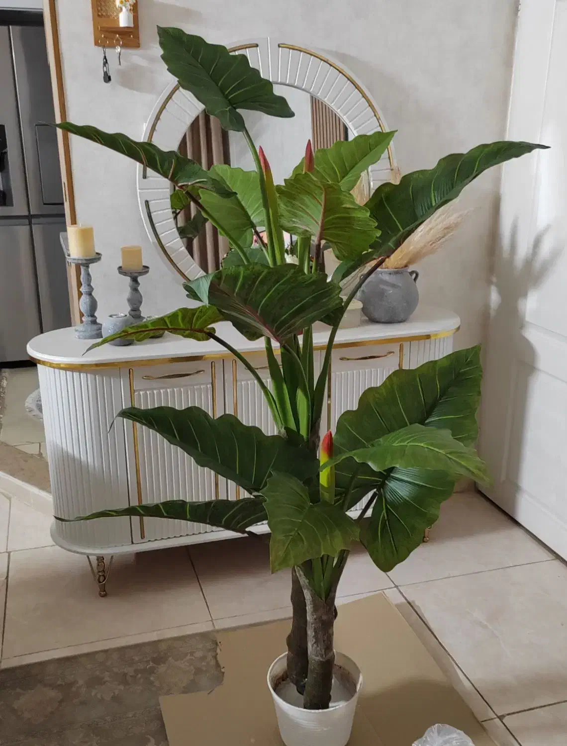 درختچه بابا آدم|گل مصنوعی|قزوین, |دیوار