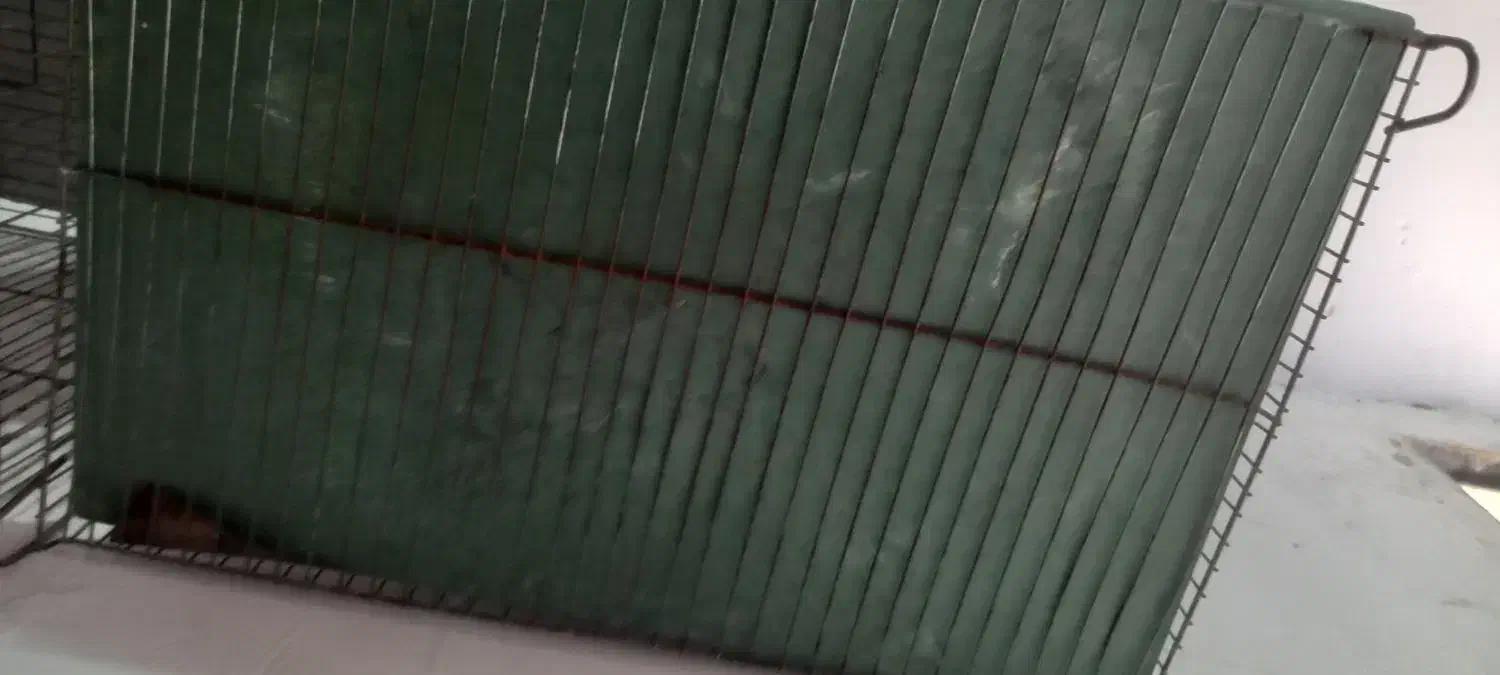 قفس پرنده|لوازم جانبی حیوانات|بروجرد, |دیوار