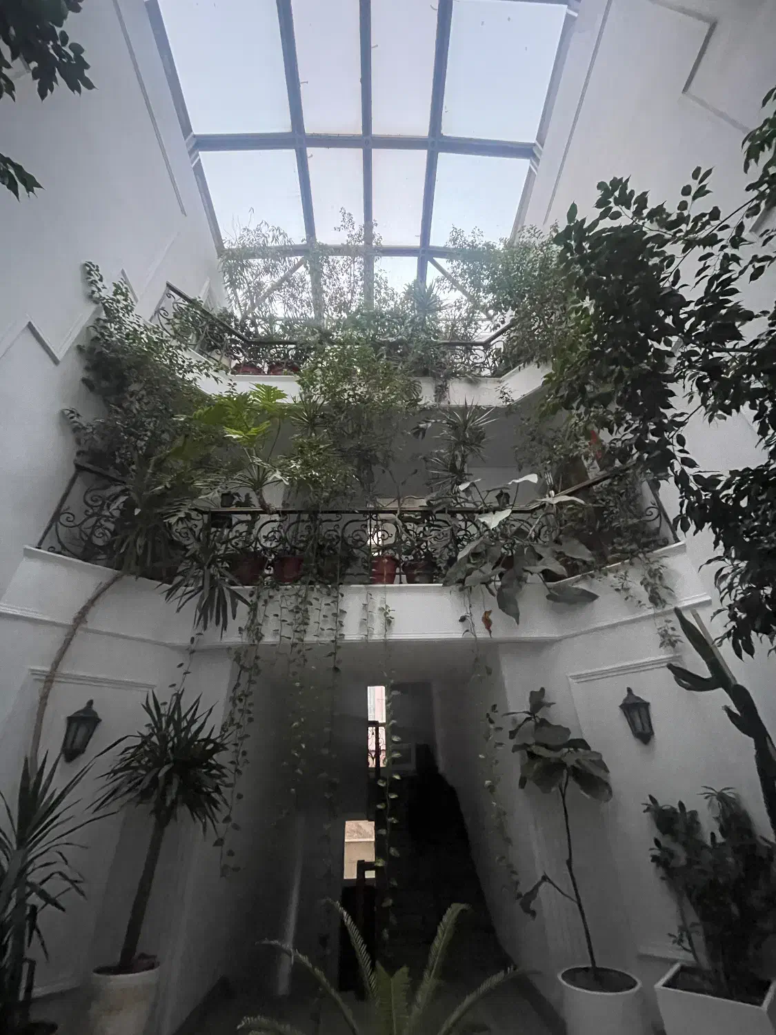 فرشته/۲۵۰ متر/تاپ لوکیشن