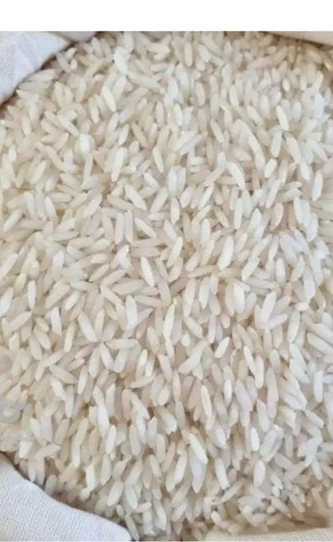 برنج هاشمی اعلا محصول امسال|خوردنی و آشامیدنی|رشت, آب و برق|دیوار