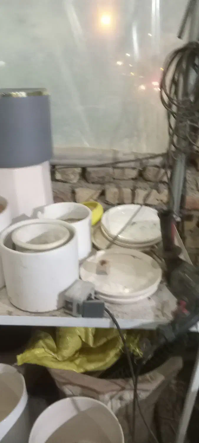 گلدان سرامیکی ترکدار|گل و گیاه طبیعی|بیرجند, |دیوار