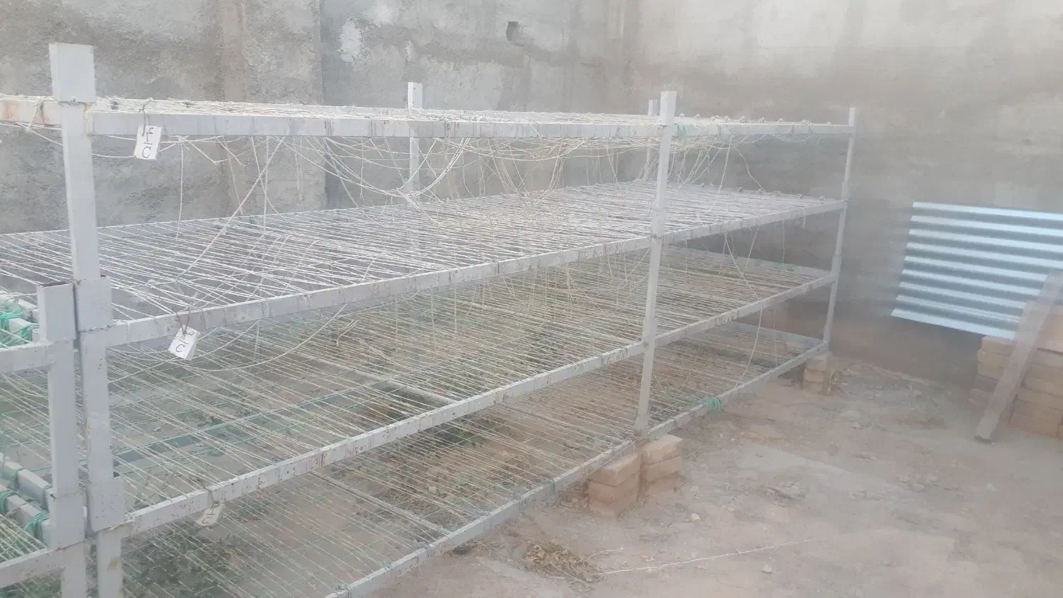 سه عدد قفسه پرورش قارچ قیمت ۱۸۸۰۰۰۰۰|ابزارآلات|سنقر, |دیوار