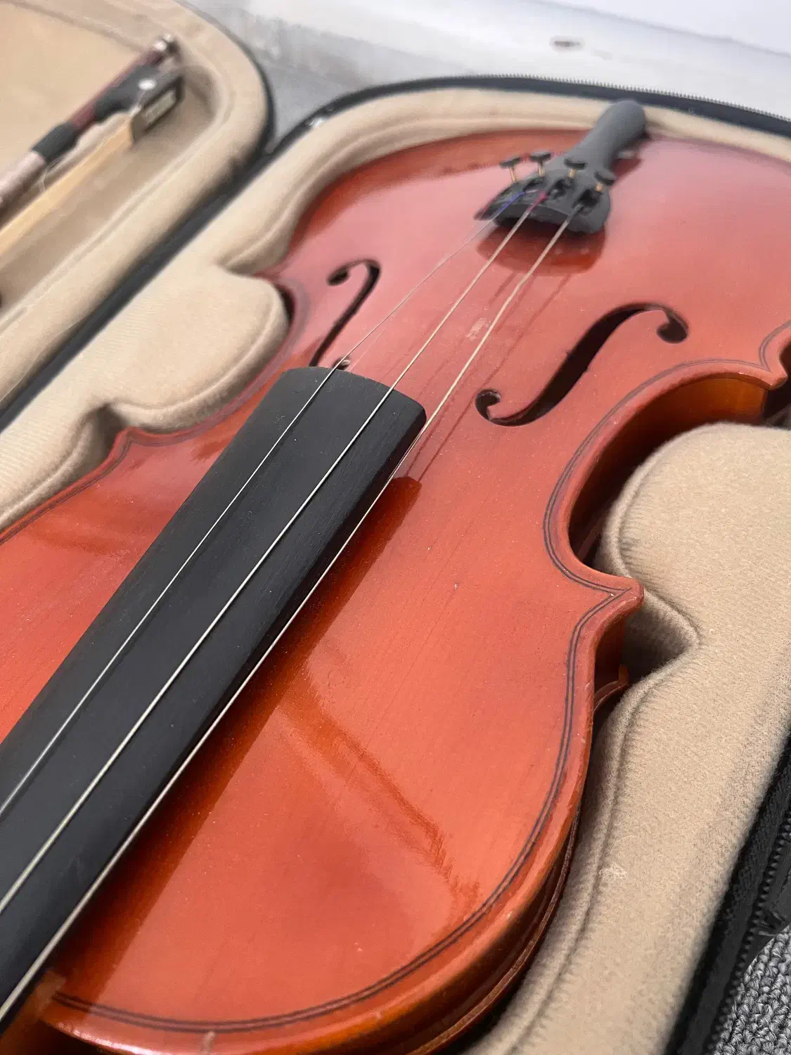 ویلون لوکتو ۱۹۹|ویولن|تهران, کوی بیمه|دیوار