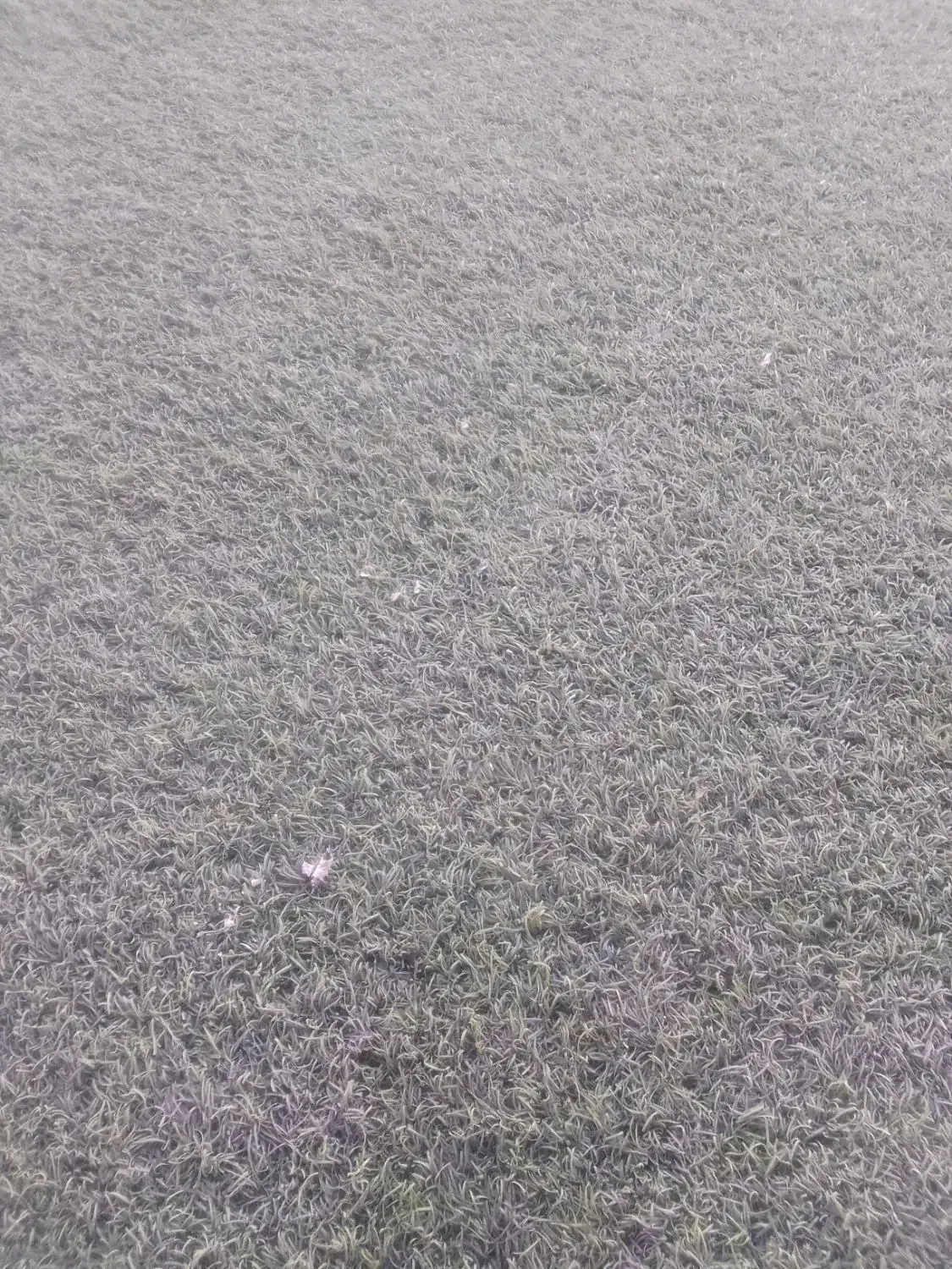 کار سبک برای شیفت صبح|خدمات پیشه و مهارت|بهبهان, |دیوار