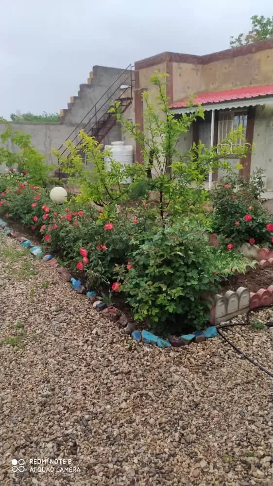 فروش آپارتمان تک واحدی خیابان شیخ بهایی|فروش آپارتمان|شاهرود, |دیوار