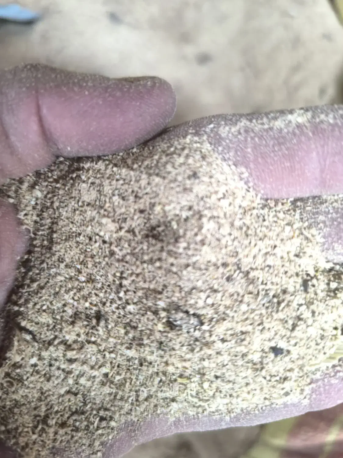 خریدار خاک اره هستم|خدمات پیشه و مهارت|فاضل آباد, |دیوار