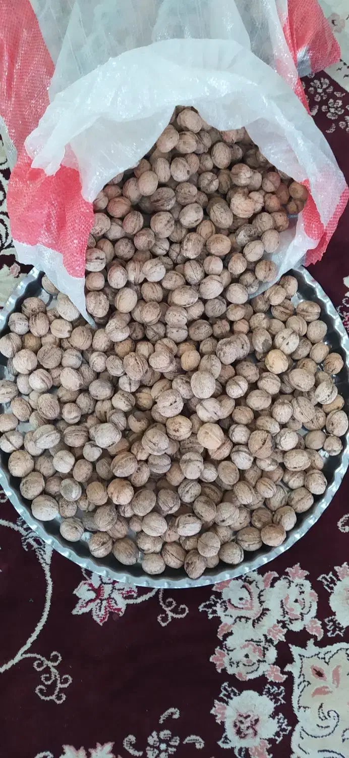 گردو نهال|خوردنی و آشامیدنی|جوانرود, |دیوار