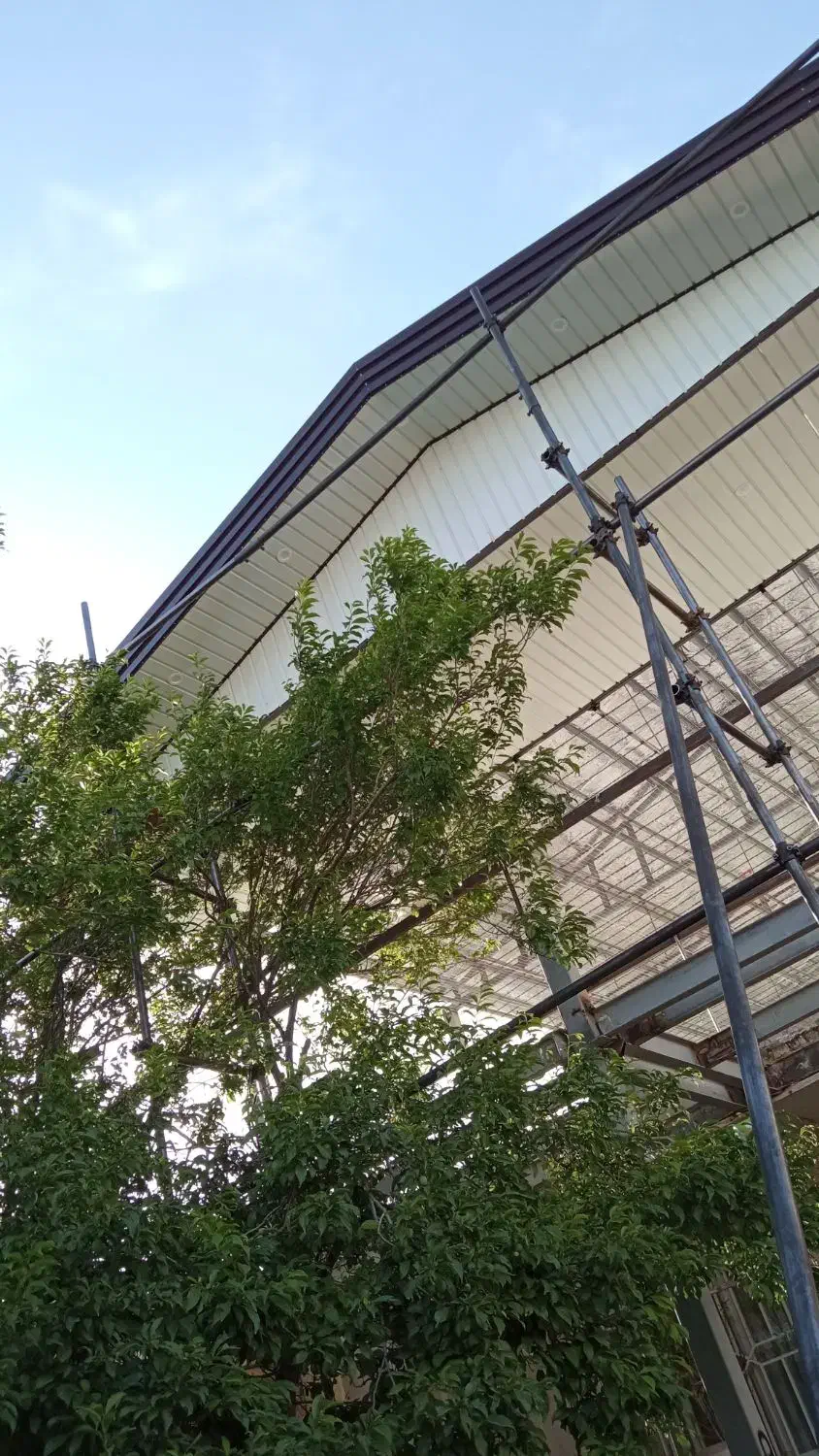 اجرای شیروانی|خدمات پیشه و مهارت|قیدار, |دیوار