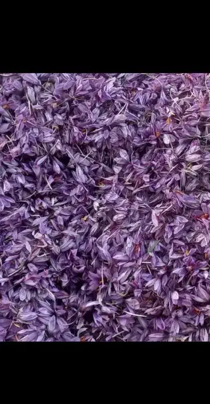 زعفران تربت|خوردنی و آشامیدنی|سبزوار, قلعه‌نو دهزار|دیوار