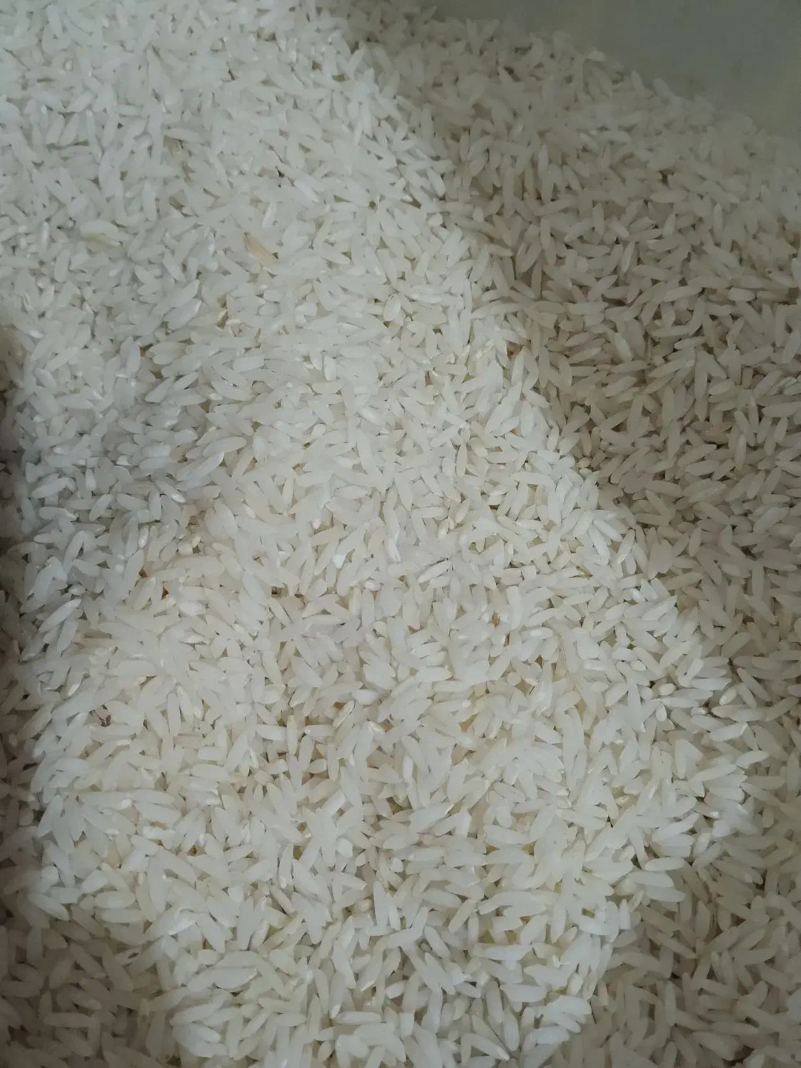 برنج محلی|خوردنی و آشامیدنی|زاغه, |دیوار