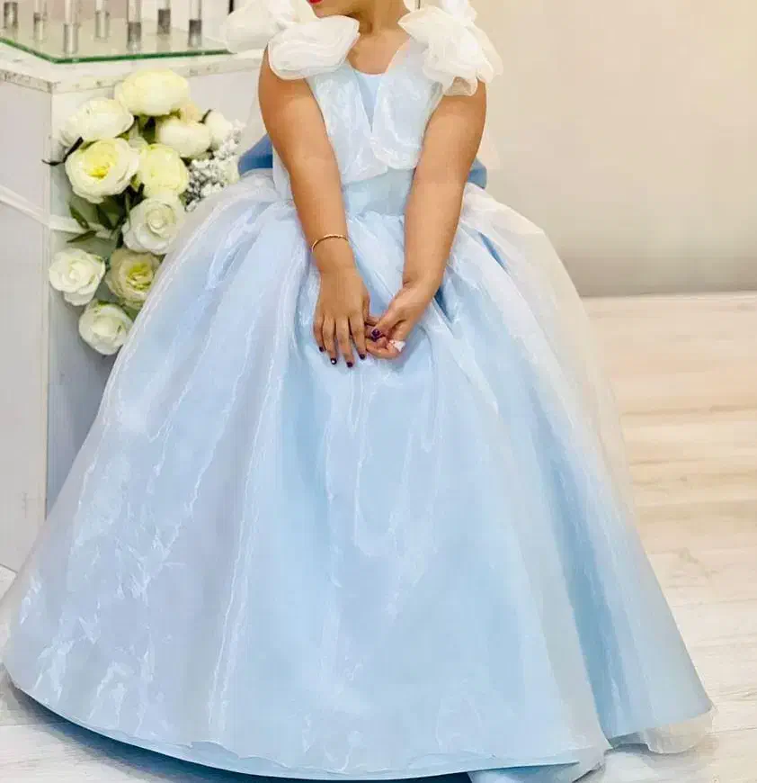 لیاس عروس مزون دوزیکبارپوشیده شده|لباس|میانه, |دیوار