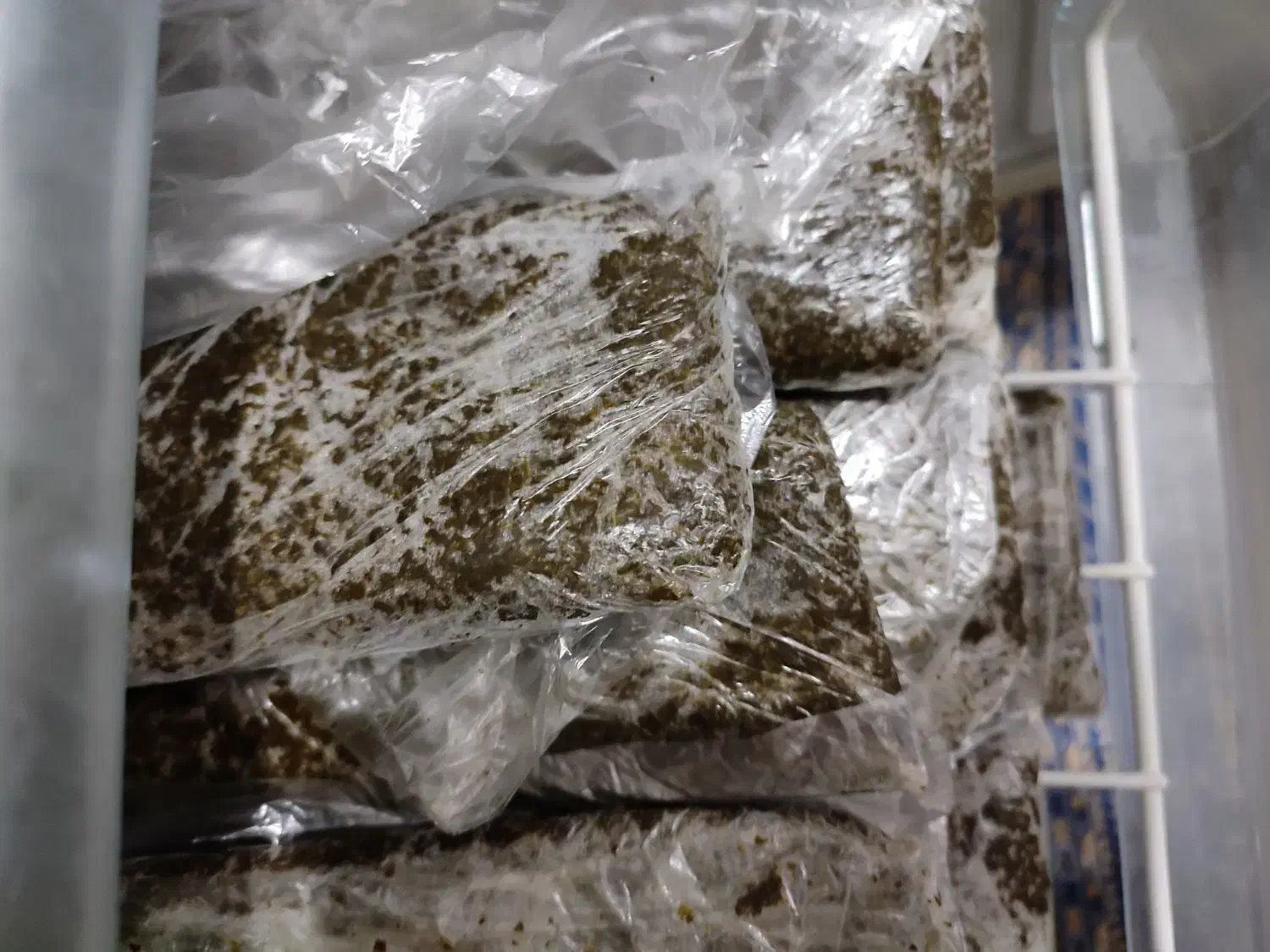 سبزی خورشتی بدون کود و ارگانیک|خوردنی و آشامیدنی|قم, ولیعصر|دیوار