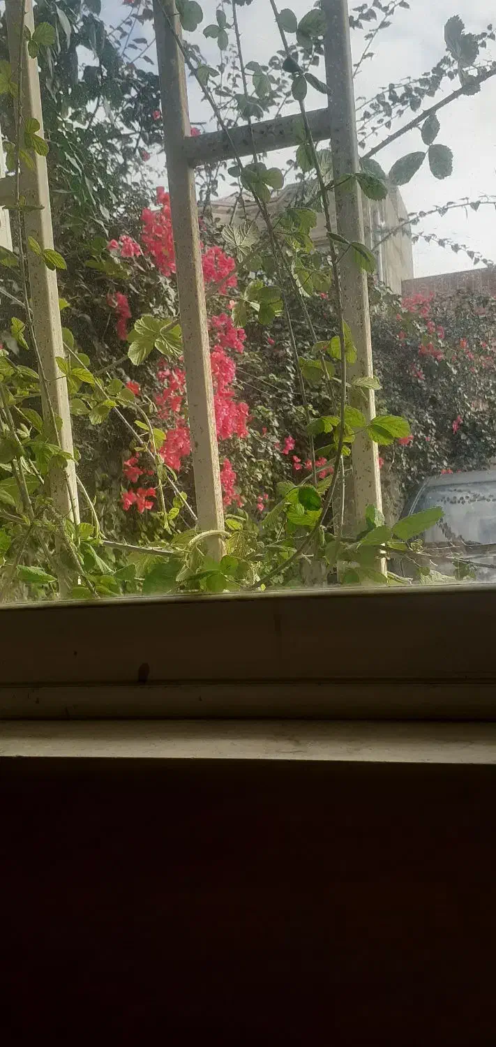 فروش اپارتمان ۹۰متری طبقه اول|فروش آپارتمان|فرح آباد, |دیوار