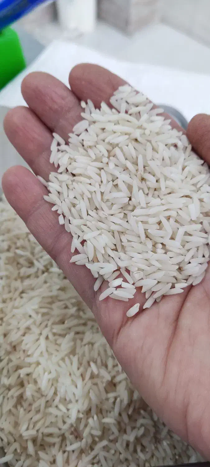 برنج هاشمی وچای گیلان|خوردنی و آشامیدنی|هشتگرد, شهرک بعثت|دیوار